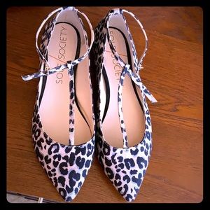 Cheetah Flats